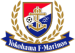 Yokohama F Marinos Logo