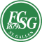 FC St Gallen Logo