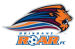 Brisbane Roar Logo