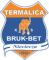 Bruk-Bet Termalica Nieciecza Logo