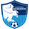 BB Erzurumspor Logo