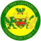 Caernarfon Town FC Logo