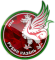 FK Rubin Kazan Logo